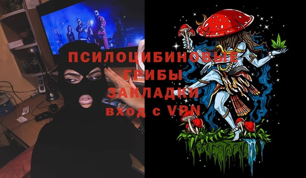 сатива Навашино
