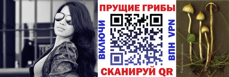 ссылка на мегу ссылки  Шелехов  Псилоцибиновые грибы мухоморы 